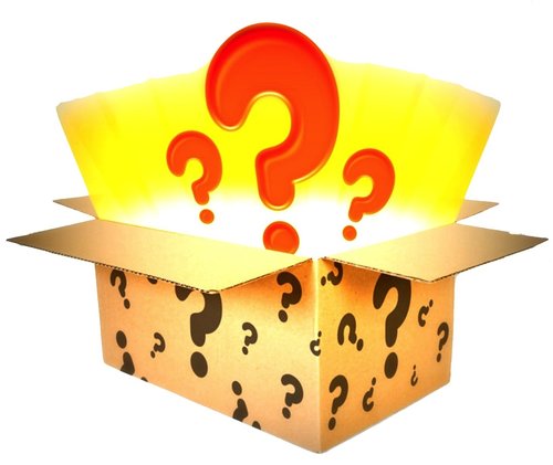 Mystery Box for Your Pet