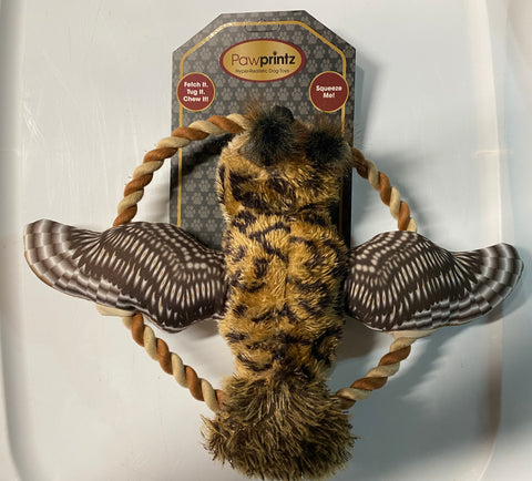 "Flyerz" Owl Frisbee/Pull Toy