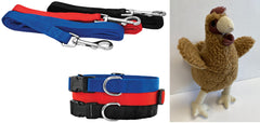 RUFFIN' IT Adjustable Collar & Leash Set (Medium-Red) & Lambswool Rooster Dog Toy