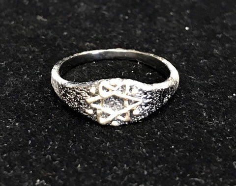 Ring - Shatkana: Reunion