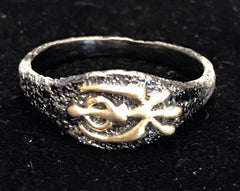 Ring - Khanda: Peace