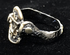 Large Ring - Shatkana: Reunion