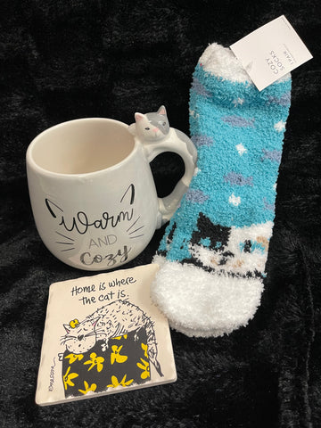 “Warm & Cozy” Cat Time