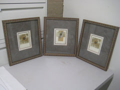 Set of 3 Framed Art Pieces